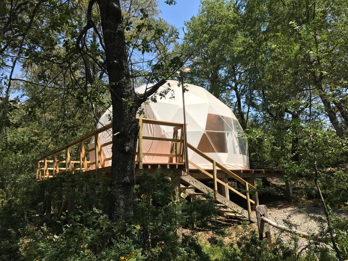 Glamping Domos Treepod Hotel Las Trancas Kültér fotó