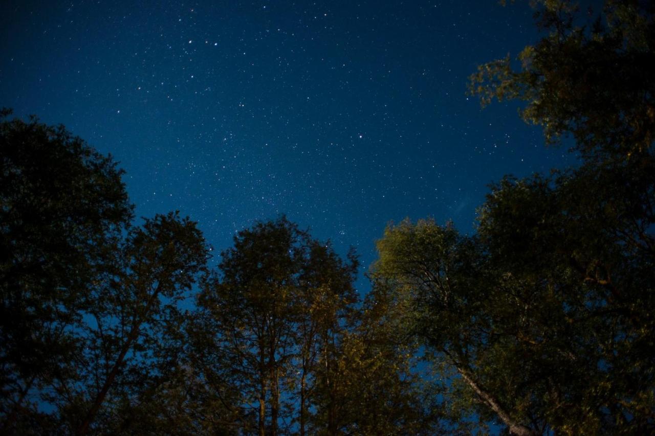 Glamping Domos Treepod Hotel Las Trancas Kültér fotó